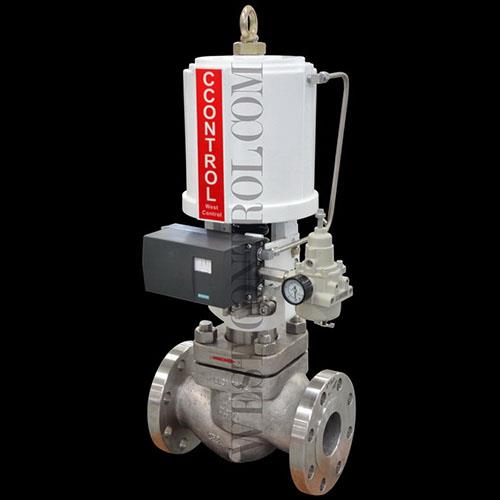 CV1200 Pressure Balanced Control Valve